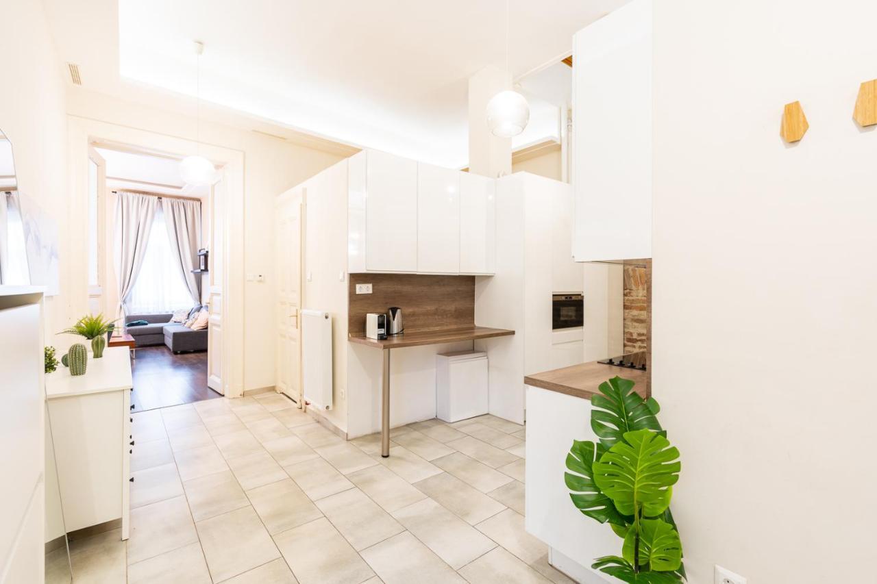 Spacious Luxury Apartment At The Heart Of Βουδαπέστη Εξωτερικό φωτογραφία